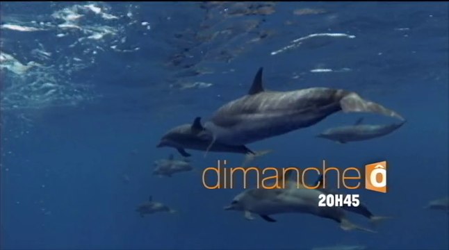 Passion outre-mer - mer des Caraïbes - 13/12