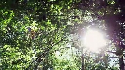 The Kill Hole Trailer OV