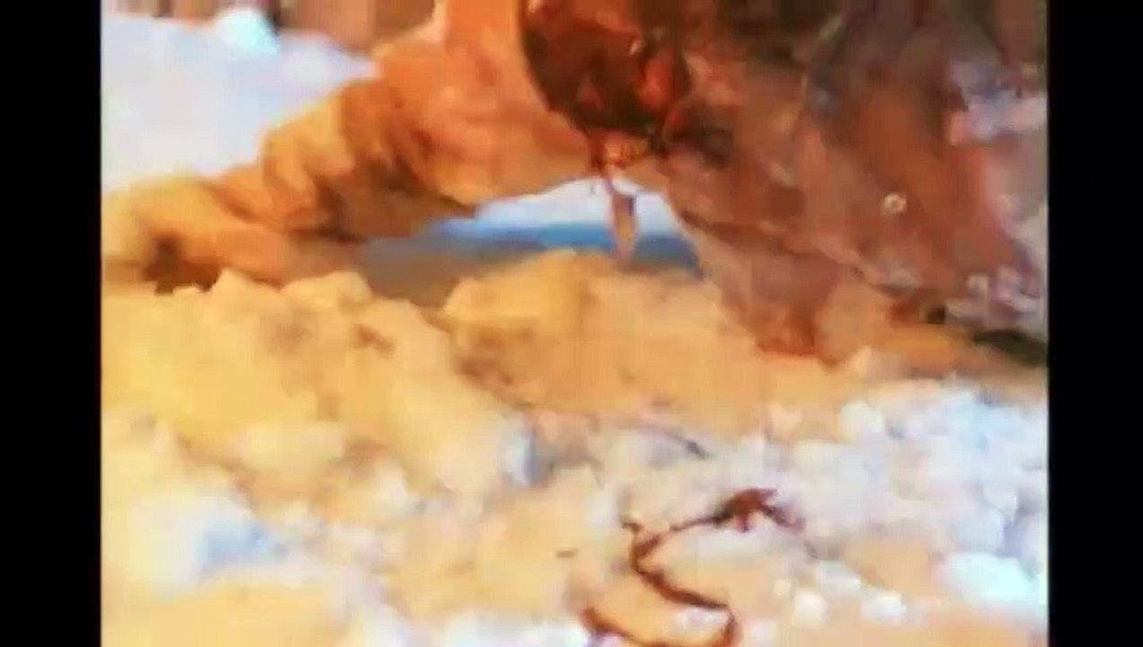 Jack Frost Der eiskalte Killer Trailer OV video Dailymotion