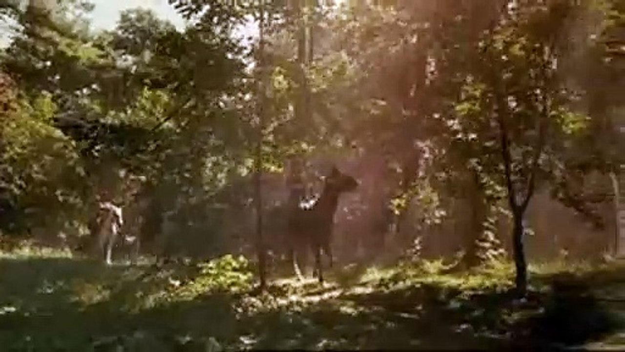 BloodRayne Trailer DF