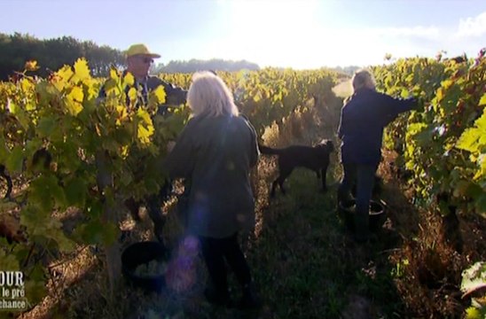 Amour est dans le pré : seconde chance (M6) : Philippe trouvait Marie-Pierre vieille et moche sur les photos