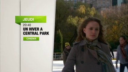 Un Hiver à Central Park