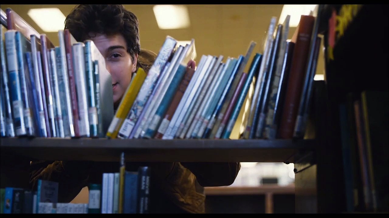 Palo Alto Trailer DF