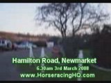 Newmarket Training Stables - Hamilton Road. UK Horseracing