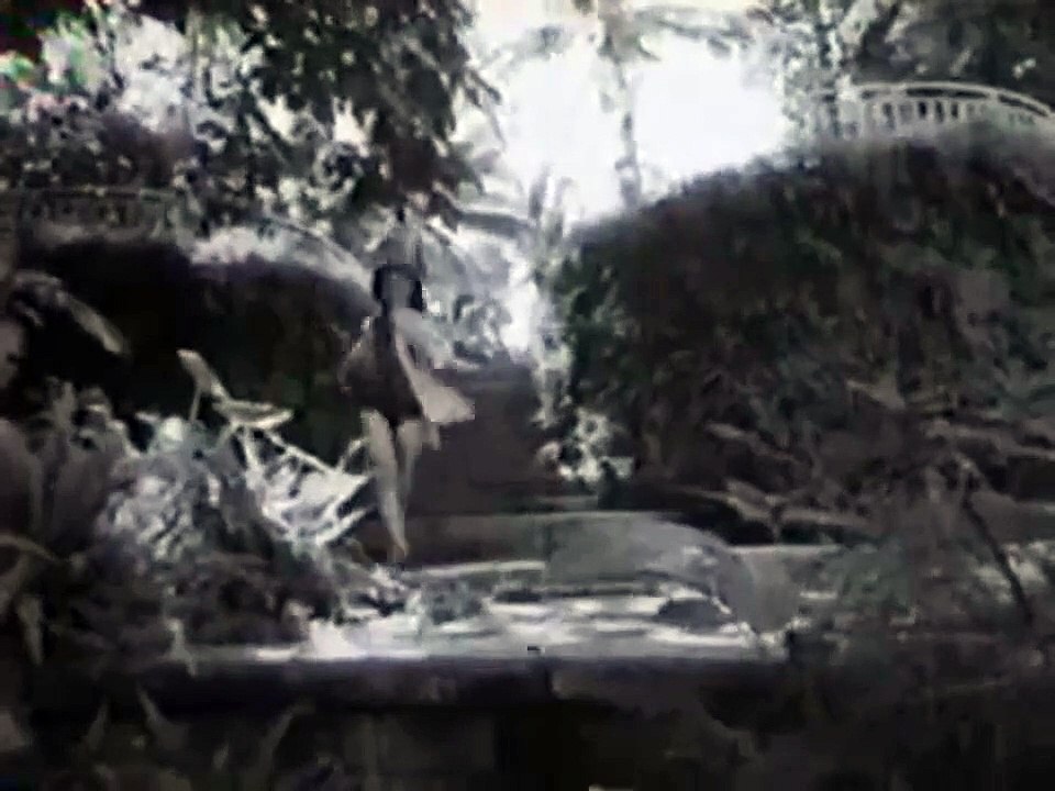 Fight! Batman, Fight! Videoclip OV