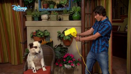 Hund mit Blog - staffel 3 Trailer DF