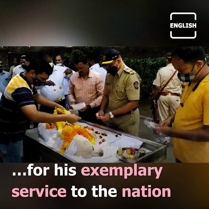 Bomb Squad Dog Given State Funeral In Mumbai