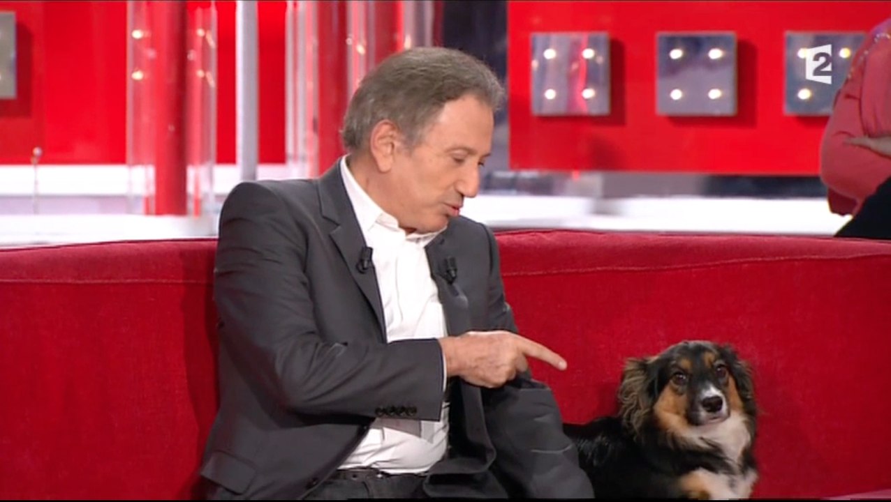 Michel Drucker gronde sa chienne qui a mordu Véronique Jannot - Vivement Dimanche