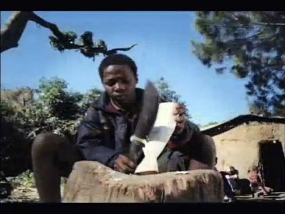 Wild Ocean 3D Trailer (4) DF