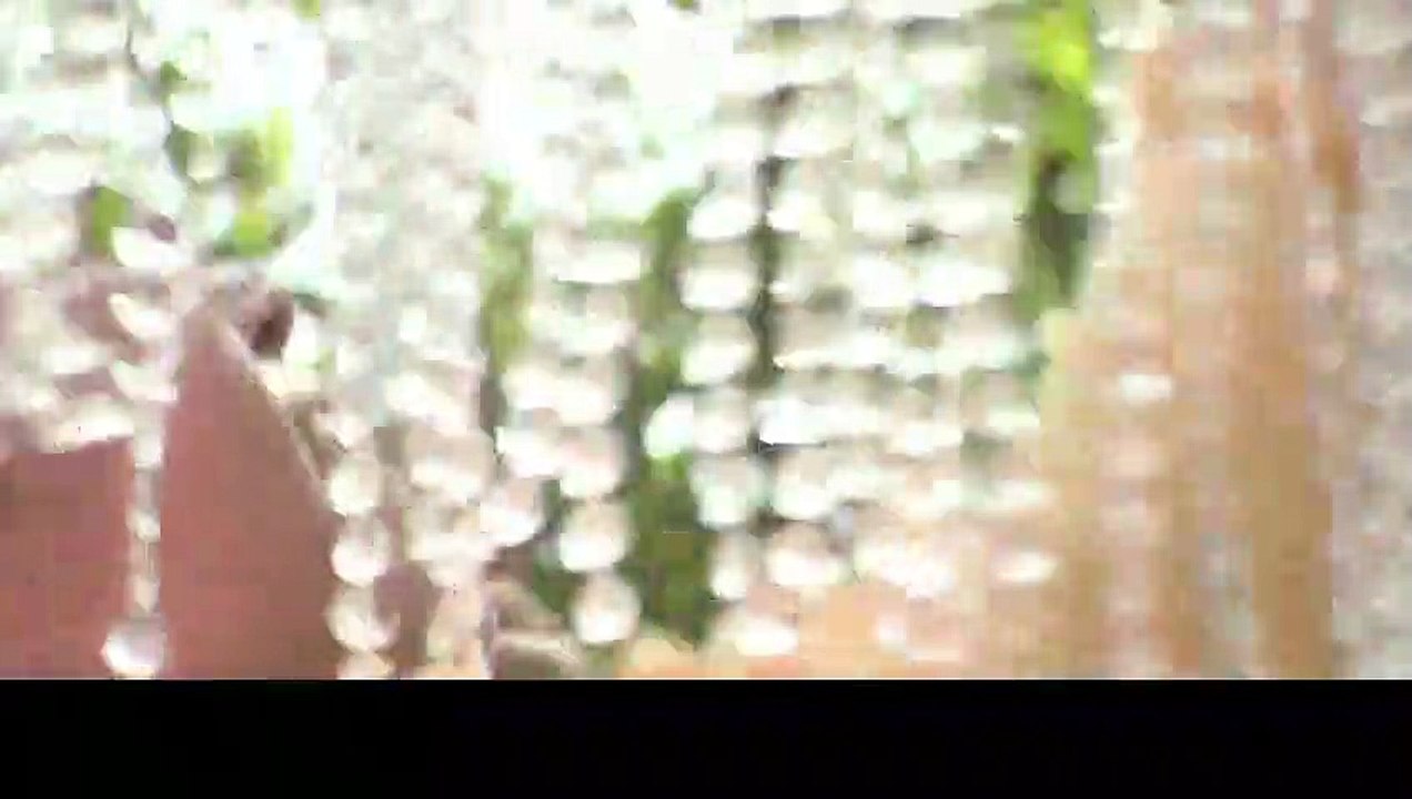 Universal Signs Trailer OV