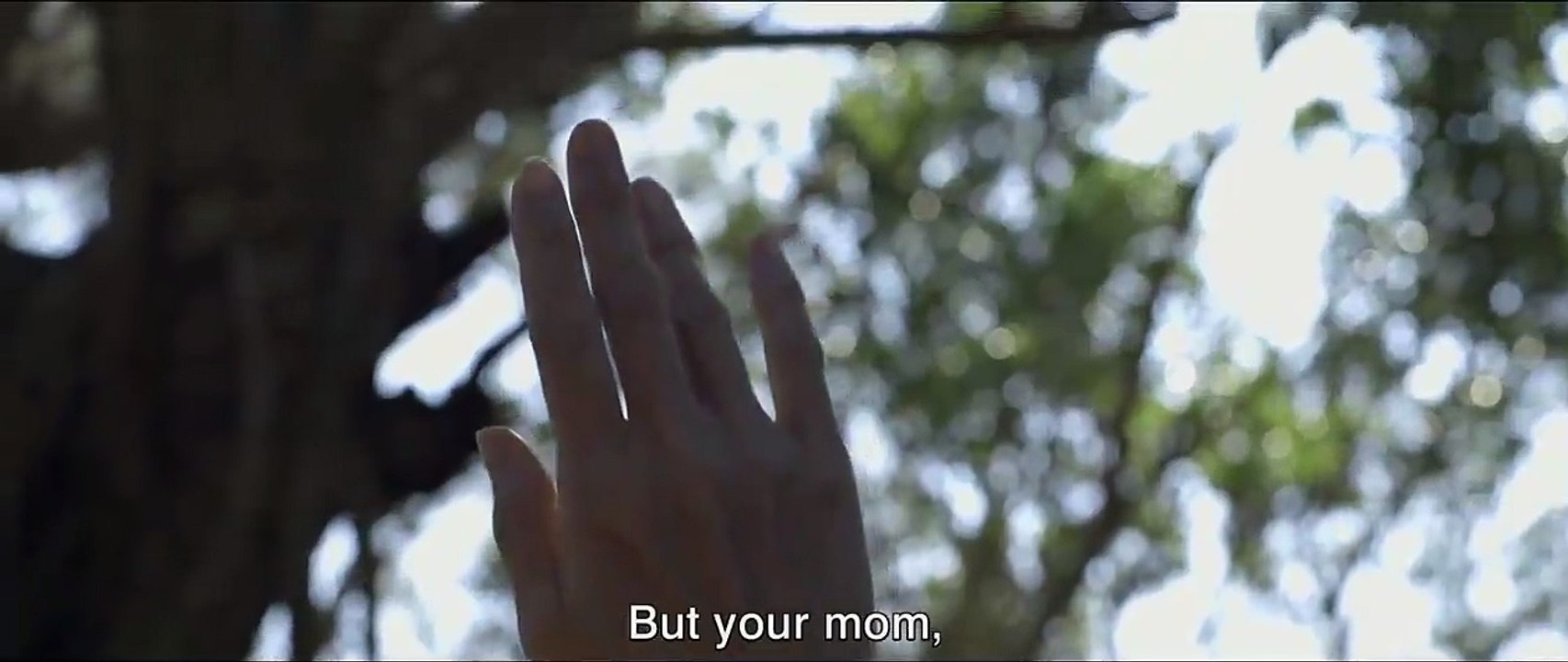 Still The Water Trailer OmeU