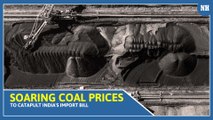 Soaring coal prices to catapult India's import bill