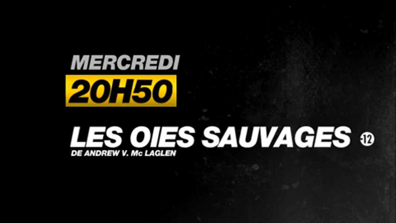 Les Oies sauvages