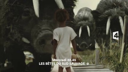 Les bêtes du sud sauvage - france 4 - 02/12