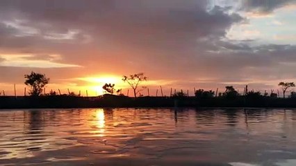 Sunset at shrimp aquaculture pond