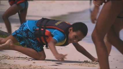 Antilles - Guyane : les baromètres du climat