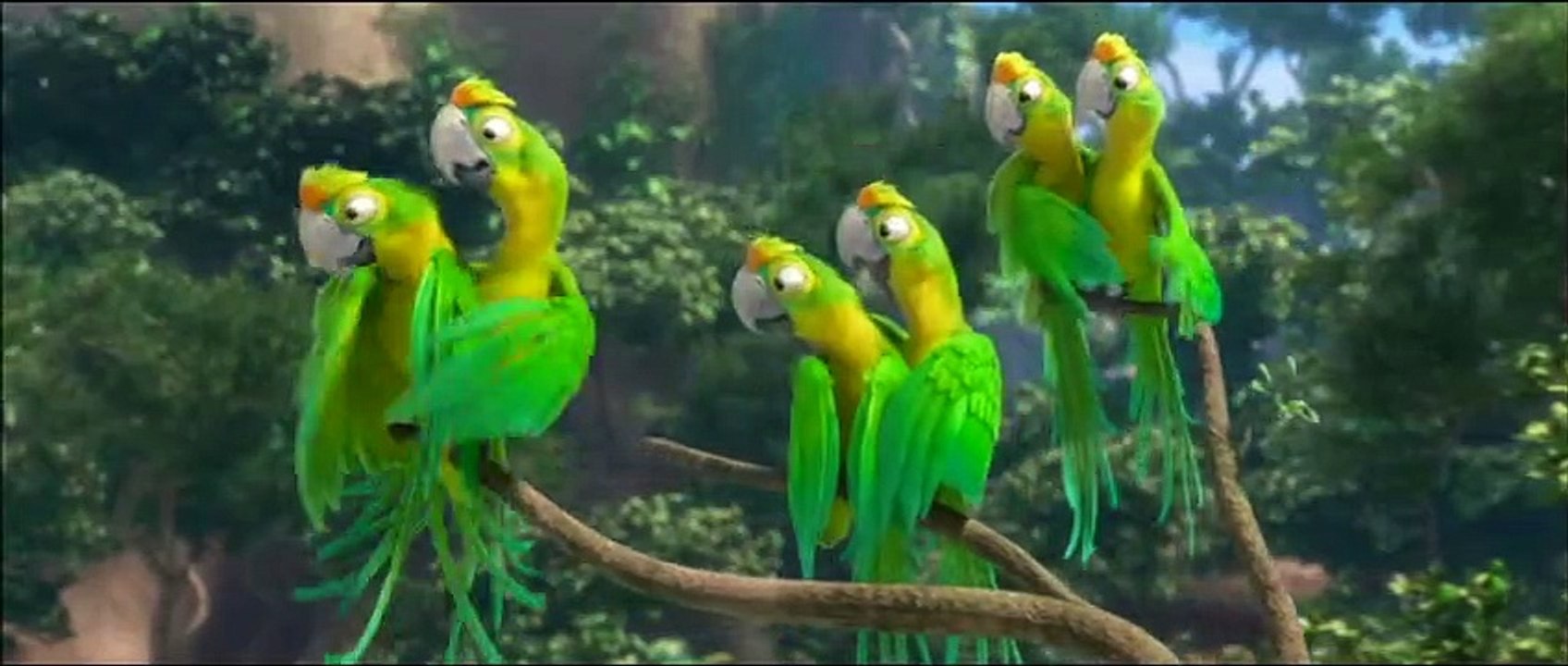 Rio Videoauszug DF