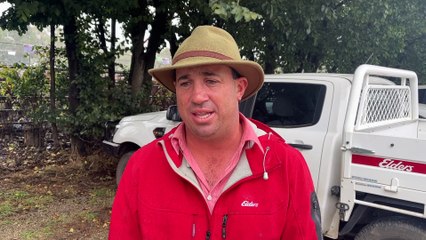 The two-day Mountain Calf Sales series wraps up | March 9, 2022 | Stock and Land