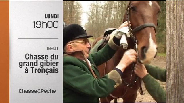 Chasse du grand gibier à Tronçais - Chasse et pêche