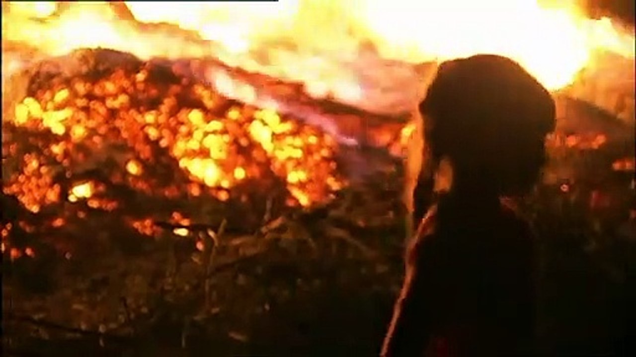 White Box Trailer DF