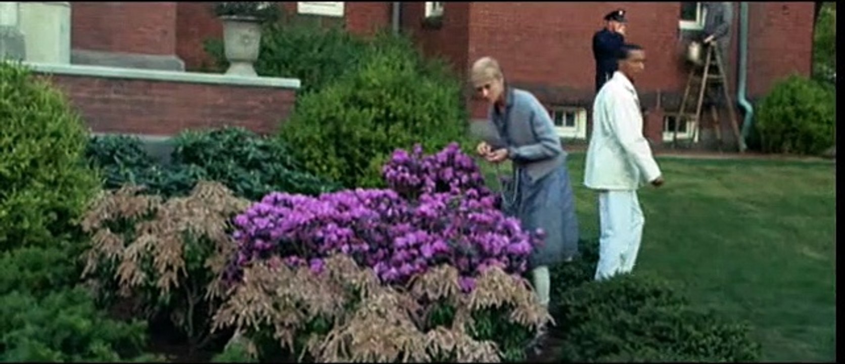 Shutter Island Trailer (2) DF