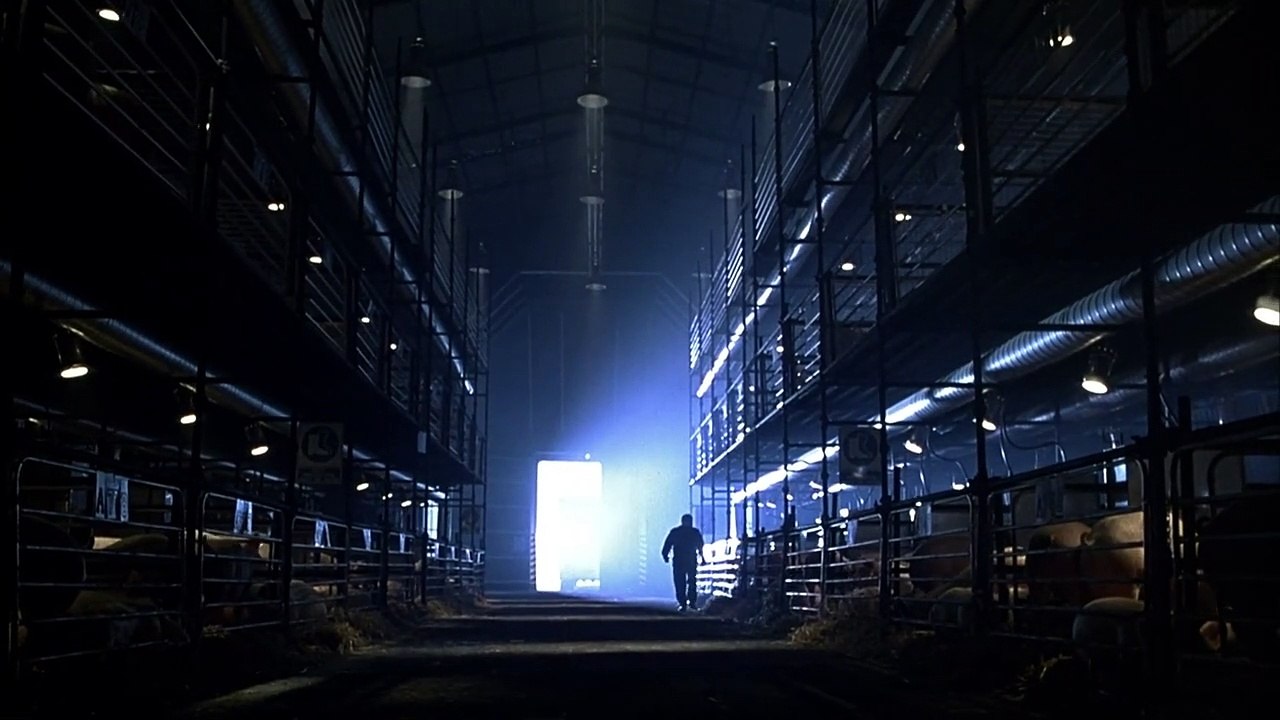 Ein Schweinchen namens Babe Trailer DF