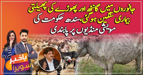 Sindh govt shuts cattle markets amid LSD epidemic