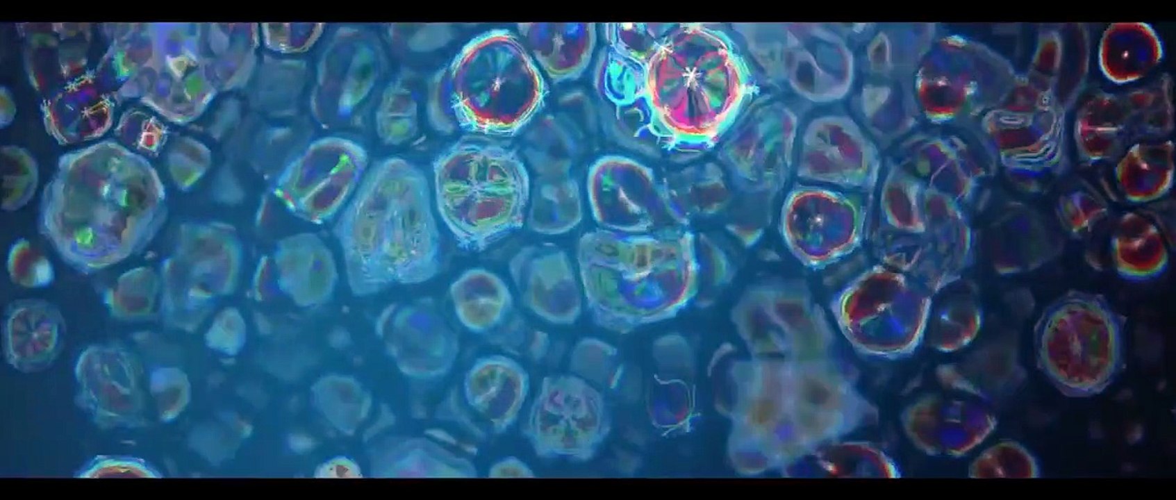 Chimera Trailer (2) OV
