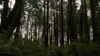 Twilight 4.2: Breaking Dawn - Bis(s) zum Ende der Nacht (Teil 2) Trailer (2) OV