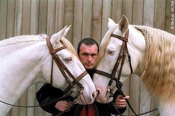 En direct des écuries de Bartabas