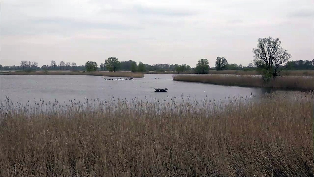 Rhinland. Fontane Trailer DF