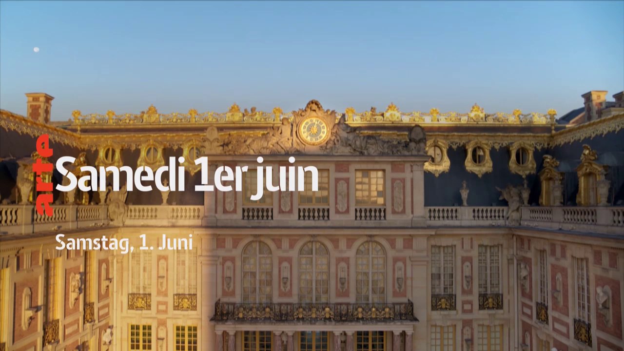 Versailles (arte) Le Palais retrouvé du Roi Soleil