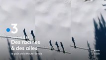 Des racines & des ailes (France 3) Le goût de la Haute-Savoie