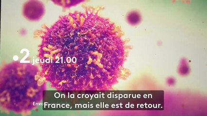 Envoyé spécial (france 2) Rougeole, l'alerte rouge ! ...