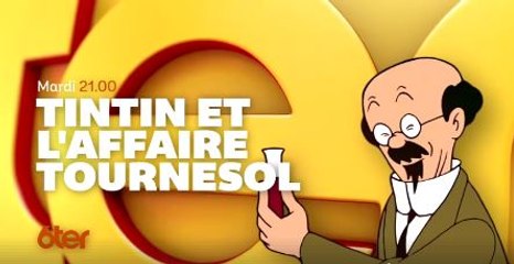 Tintin et l'affaire Tournesol - 18 07 17 - 6ter