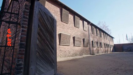 1944 : il faut bombarder Auschwitz (arte) bande-annonce