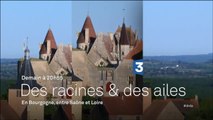 Des Racines et des ailes : En Bourgogne entre Saone et Loire - 31/08/16