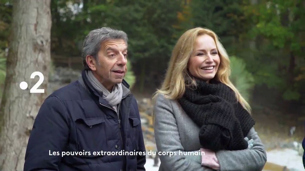 Les pouvoirs extraordinaires du corps humain (France 2) les pouvoirs de l'amour
