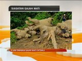 3 lagi bangkai gajah ditemui