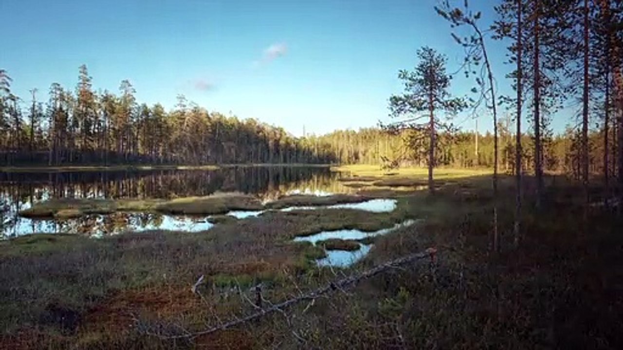 Magie der Moore Trailer (2) DF