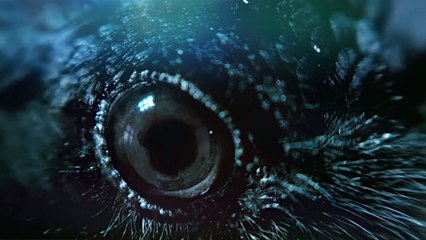 Betty, They Say I’m Different Trailer OV