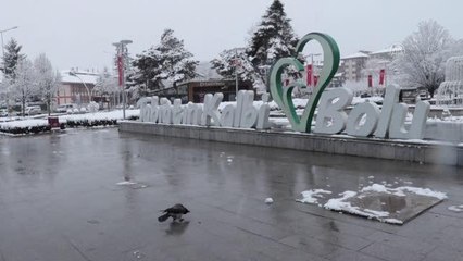 Kent merkezinde kar yağışı etkili oluyor