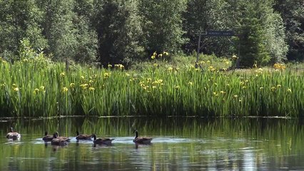 3 Tunnels 2 Hell Trailer OV