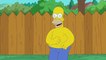 The Simpsons - Ice Bucket Challenge
