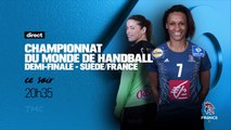 handball - suede france - tmc - 15 12 17