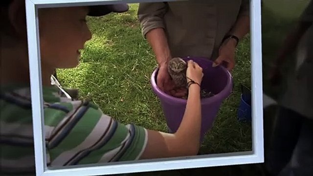 Birds & People - Ganz verrückt auf Vögel Trailer DF