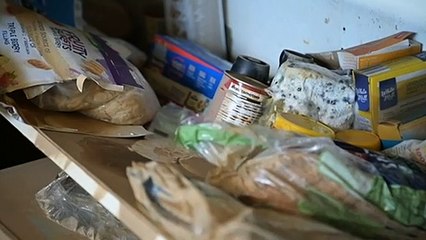 Flood affected areas besets by growing fungus