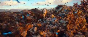 Der Hobbit: Smaugs Einöde Trailer (8) OV