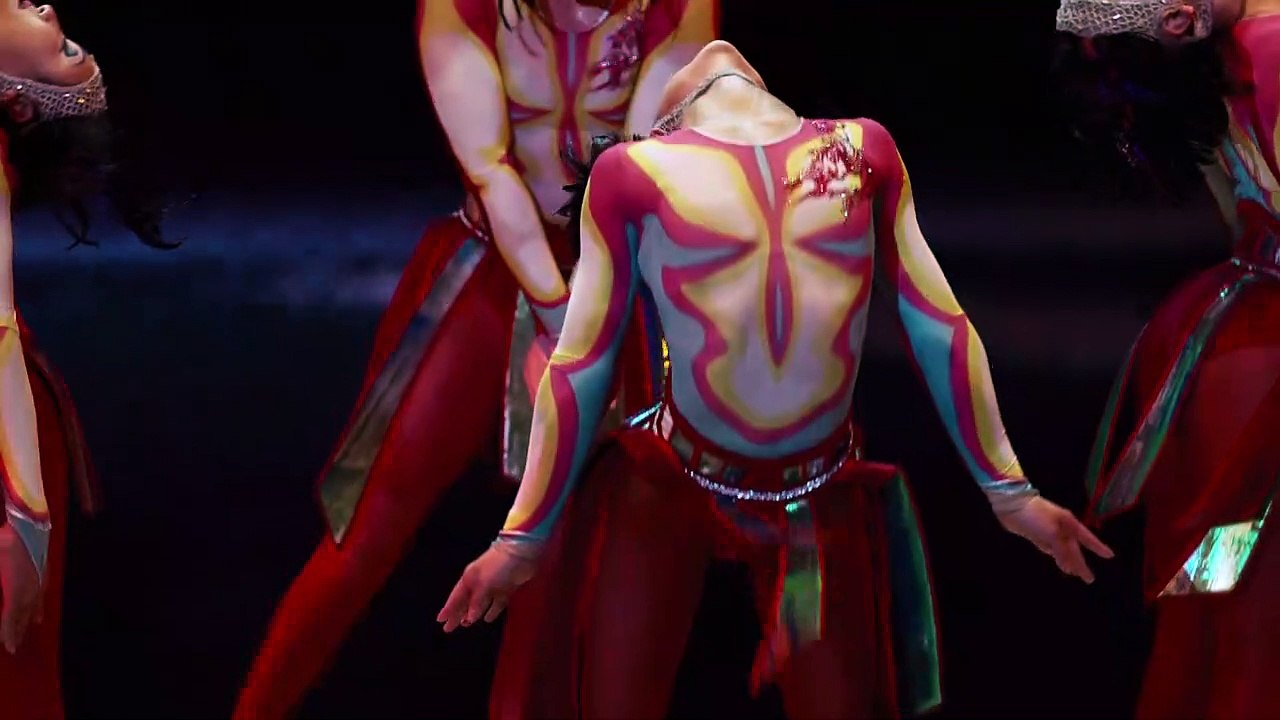 Kokowääh 2 / Cirque du Soleil - Traumwelten / Parker