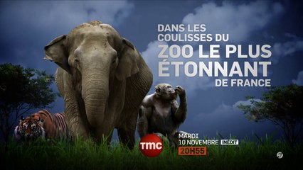 Zoo de Pal dans les coulisses du zoo le plus étonnant de France - 10/11